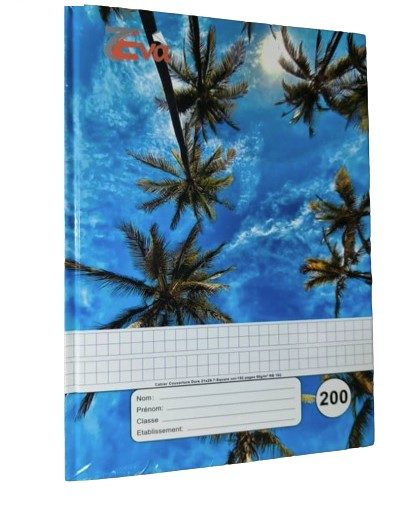 Cartonnier 200 pages lignes bleues